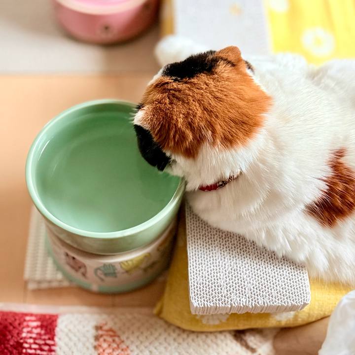 Eebebcc7 bd0f 4210 8811 db230beea4f6 1765152151563