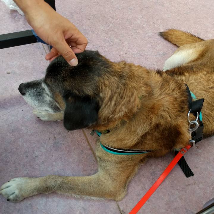 Eebed646 8bbc 404b 8955 a55cae757004 1540453439059