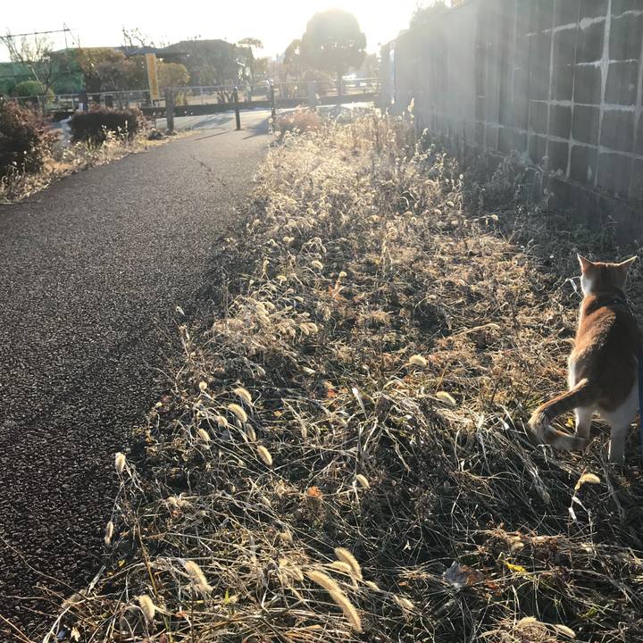 Eebf4e15 e717 4d38 8de2 8cfcfdda1a83 1518940590928