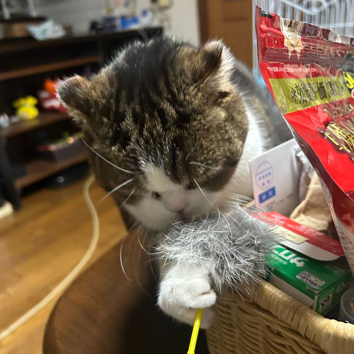 Eebf68c8 79fa 4f90 bbe7 75adcd4faa52 1767906488374