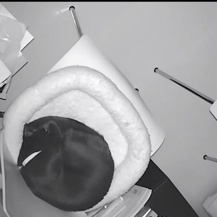 Eebf6c25 0d72 449f 9e6f 8a75342d1484 1543659371787