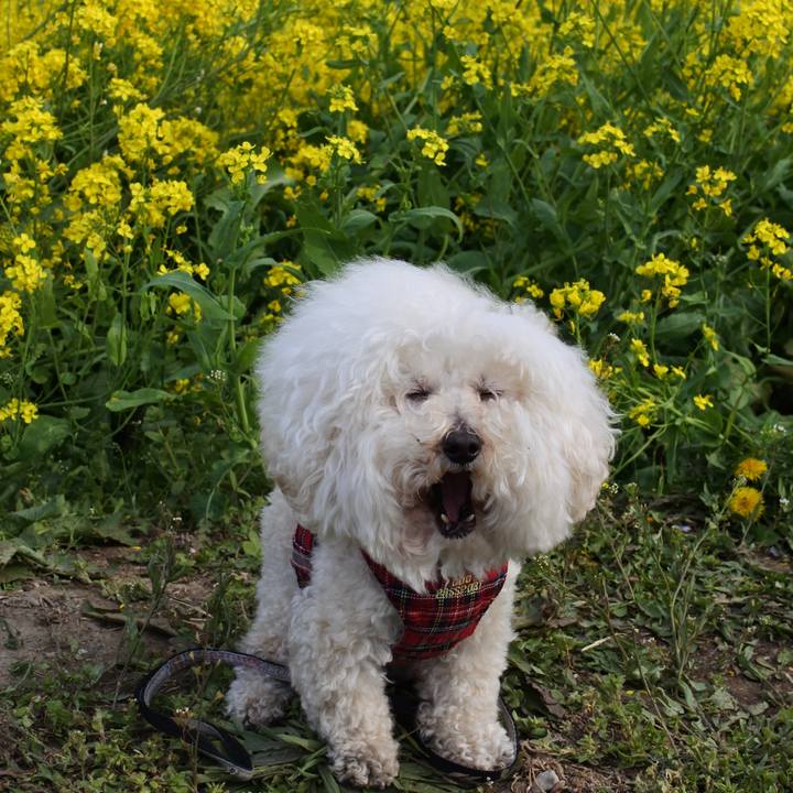 Eebf7dea 155c 4efc 8ee4 0fd8b4bb3892 1759240931068