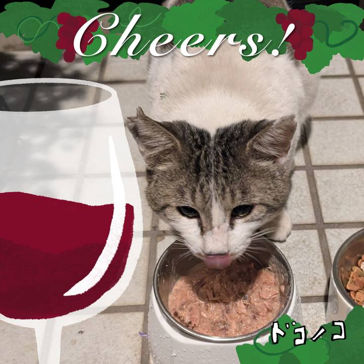 Eebf86b4 0f5e 4fb1 b201 2816d49aa60a 1761359637050