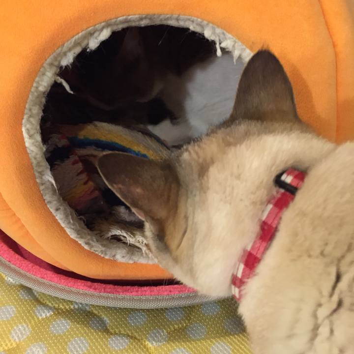 Eebf9a5a 9a6d 4c58 8eba aed12b4d3dfa 1520067999988