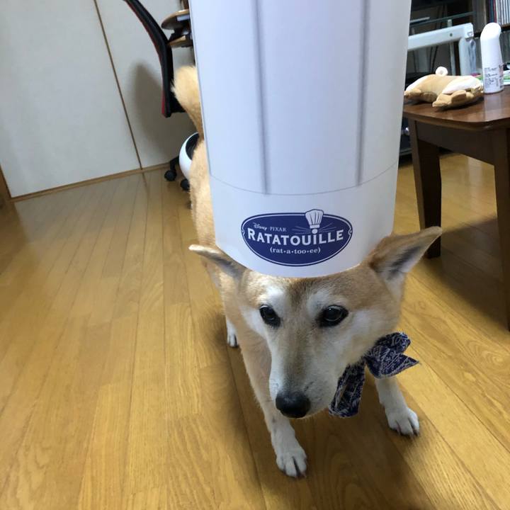 Eebfa66f 63b8 4eaa a365 5aaa184338f7 1599349925630