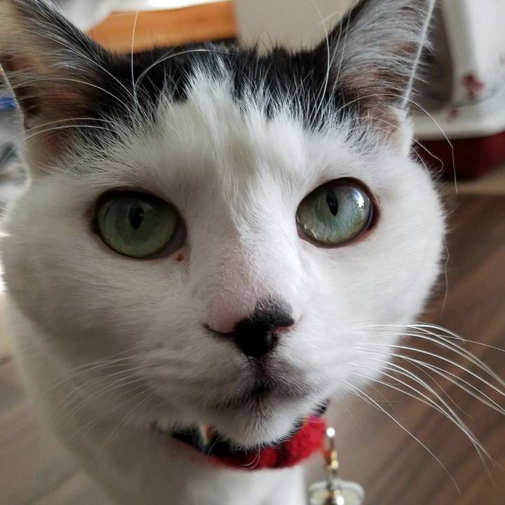 Eebfdc2d 9875 4392 8904 92d0ab1f0466 1521791186393