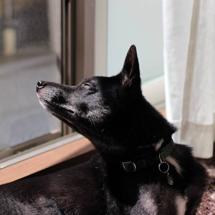 Eebfe75a 3f9a 4320 aa96 2f7cc67dfb0b 1610321492202