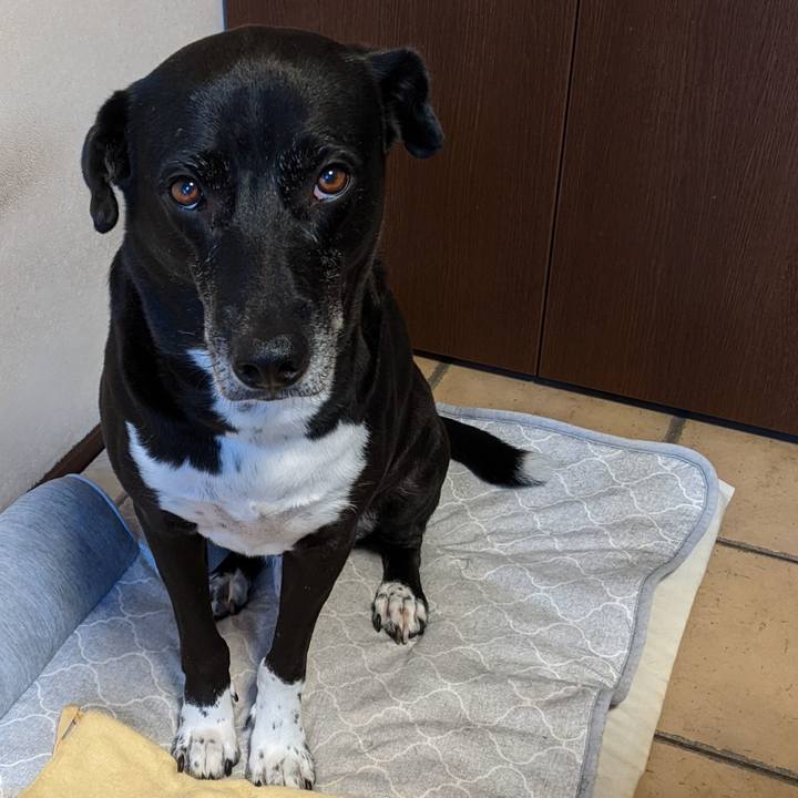 Eebfeeb2 9ea3 46c0 8f2f 2de219e28a31 1695726481663