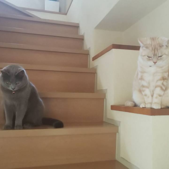 Eec00046 fc99 426b a6b0 125fca806d9f 1553559542618