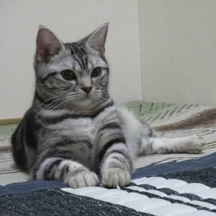 Eec021dd 46e8 461a 89fd df7878213f74 1549018978230