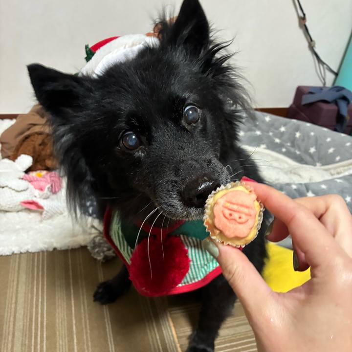 Eec0272a 5d78 4aa0 8e41 783c19f47831 1766589257017