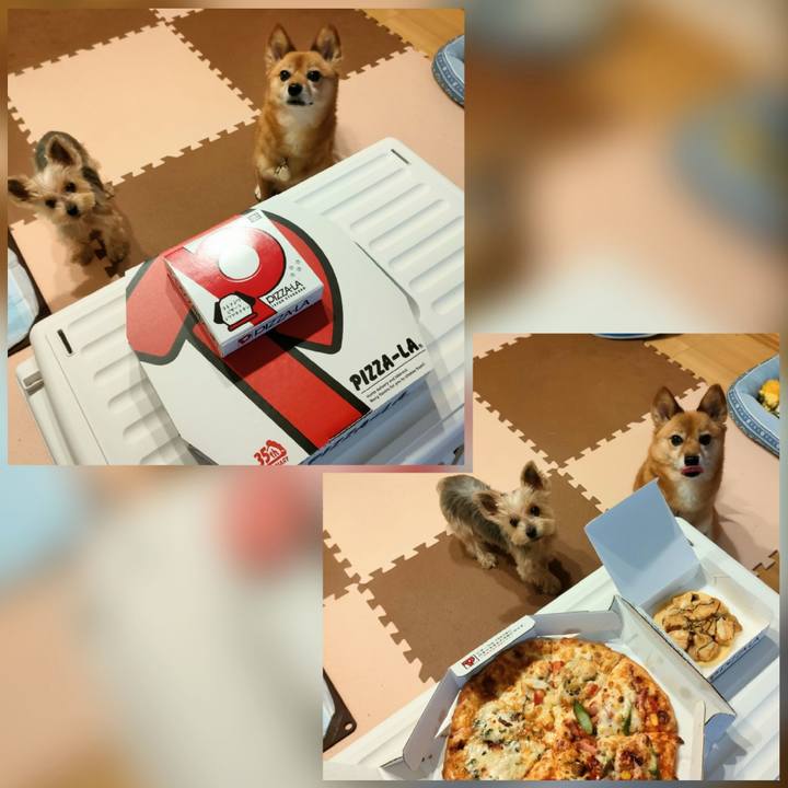 Eec03851 9e43 4655 8e76 7c4634dbd9fb 1665836574520