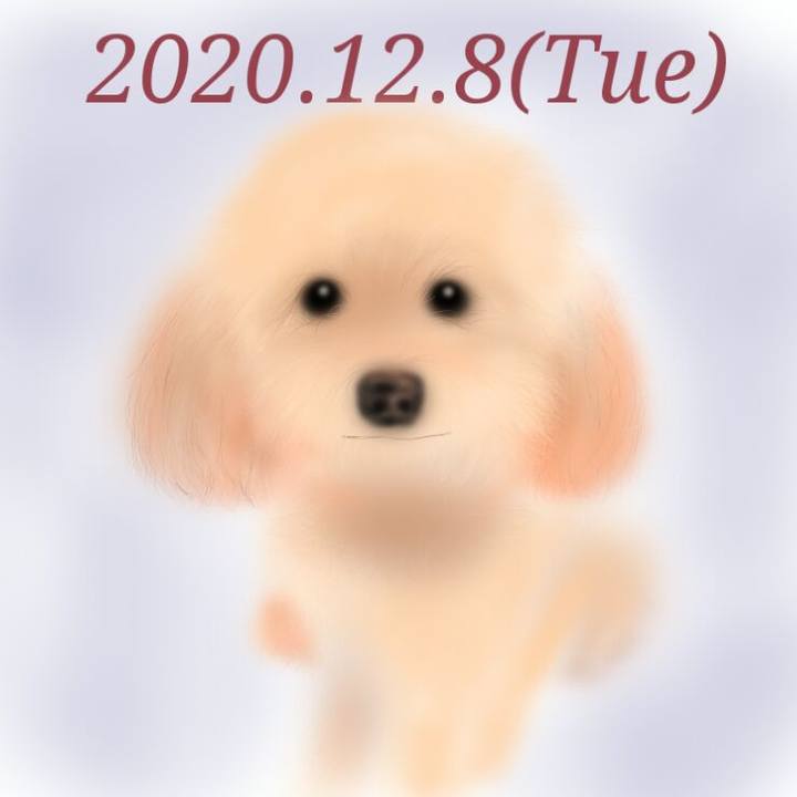 Eec03a67 96f5 43b8 bb5d 518e59f08930 1607432165929