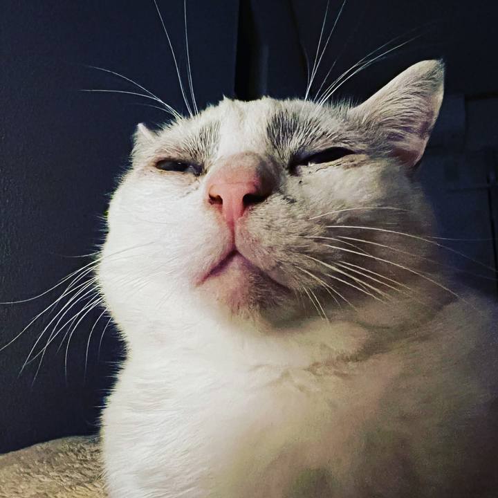 Eec044ba 39e4 429e 8461 8bd22ffb2256 1635776937869