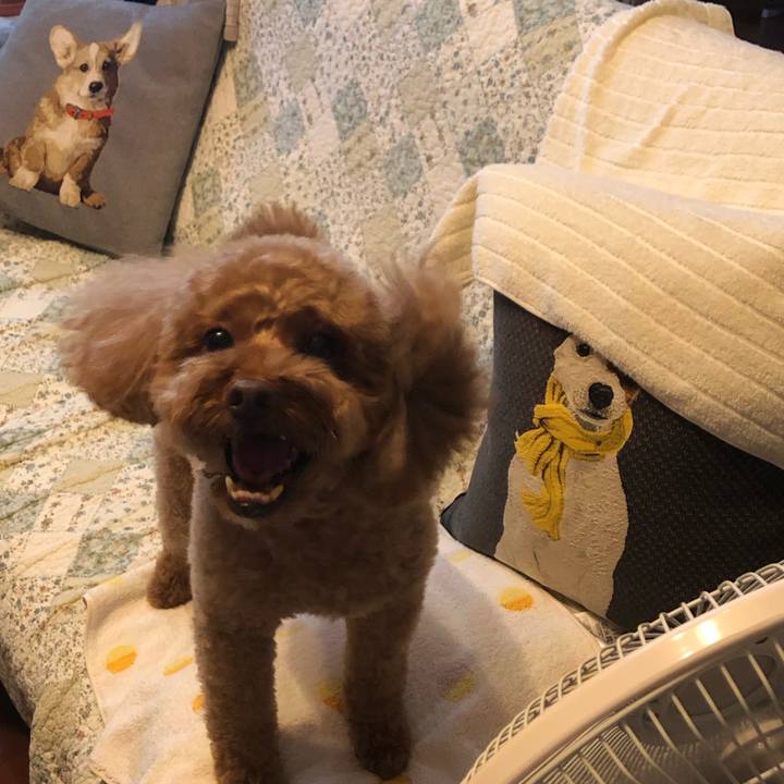 Eec058b8 cd20 43b4 8897 d4578da30252 1599461114542