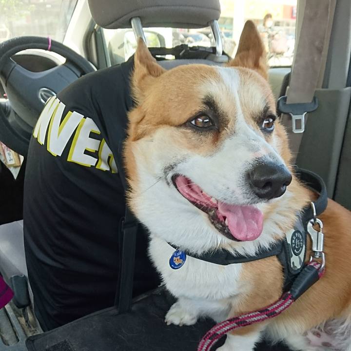 Eec0791c c2e8 42da 886a 0e8ef613a10c 1620275650289