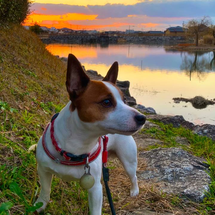 Eec07ab2 7e1c 41b5 8d61 9ccf19a917eb 1578935229547