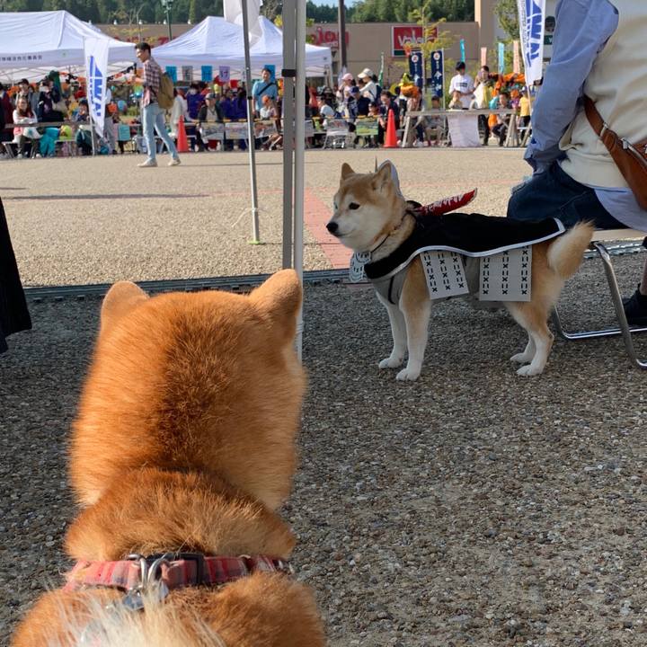 Eec083c2 2c59 4063 9f28 3568361017db 1572159529155