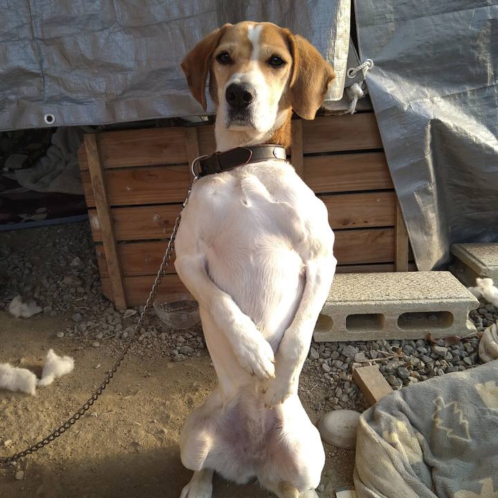 Eec0979f 362b 4a44 a227 38bf05583f4d 1643533743141