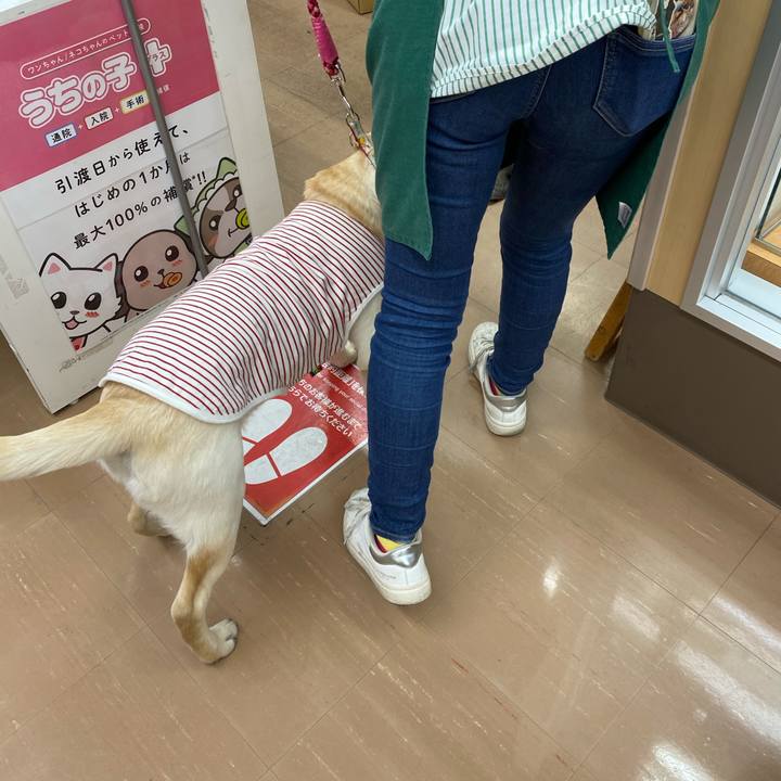 Eec0a8bf c455 4cb2 aac1 8cfb16256e1d 1619497371578