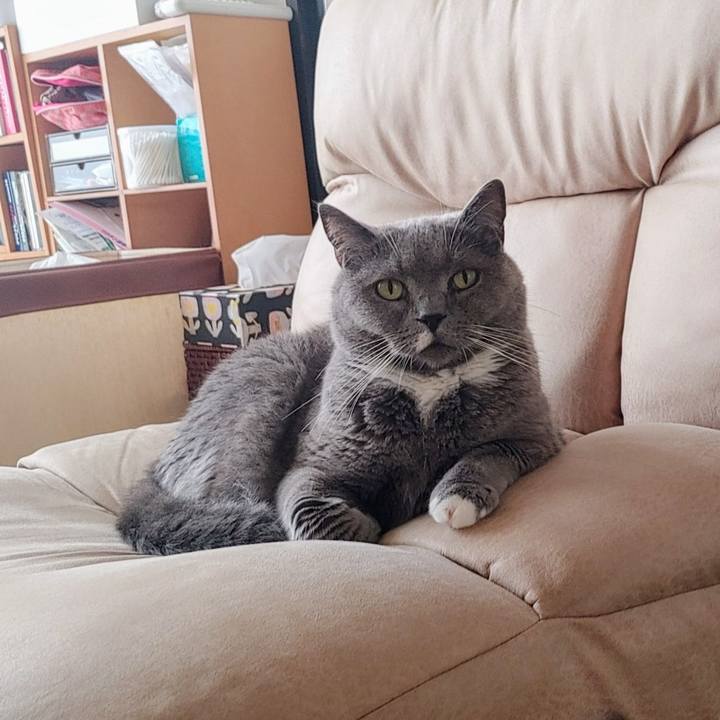 Eec0bc0d 7433 48f8 b02e ffa9479b7bf3 1719035771104