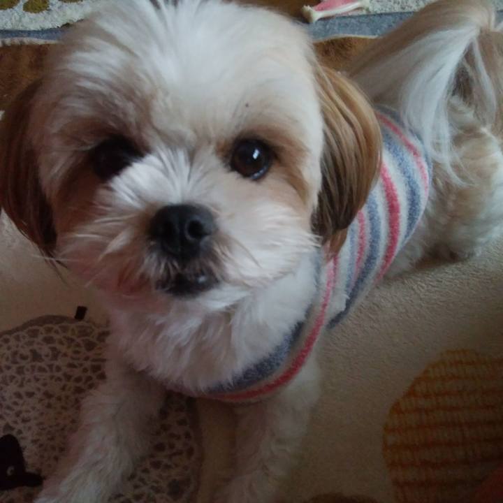 Eec0dc29 e911 4a3d a30d 9f20e8f5a4b2 1516666395480