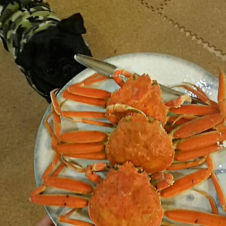 Eec14015 1182 4cc8 93d2 82ae4b5a40ab 1541851085904