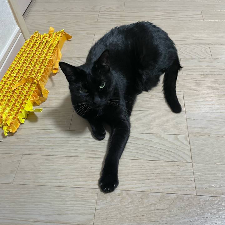 Eec182f3 ff95 40d3 ac36 08906a994fa2 1740435222229