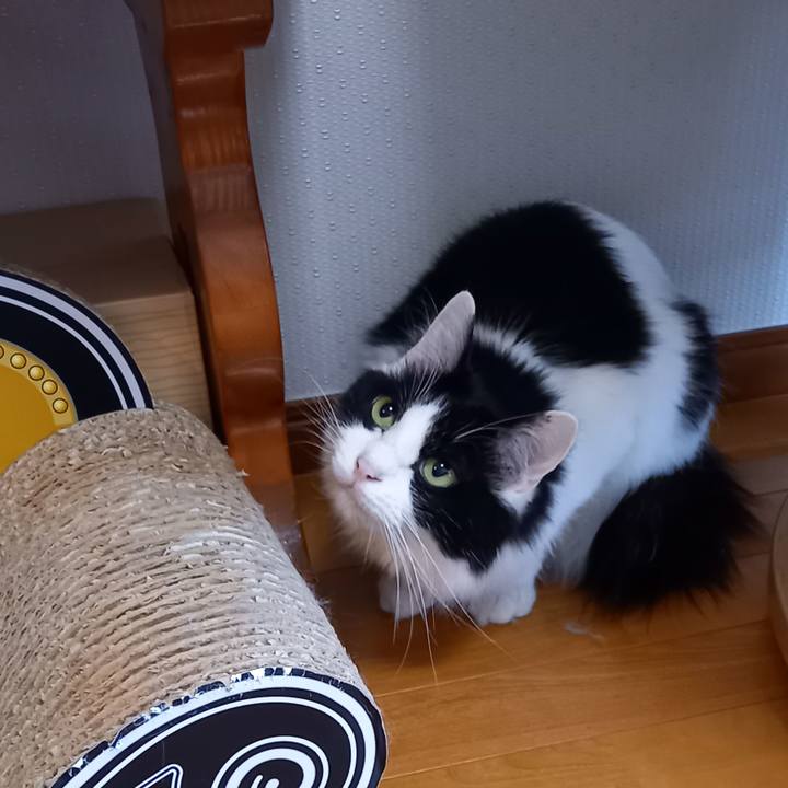 Eec18444 9d71 4873 a40b e3d53ca599a1 1654643190552