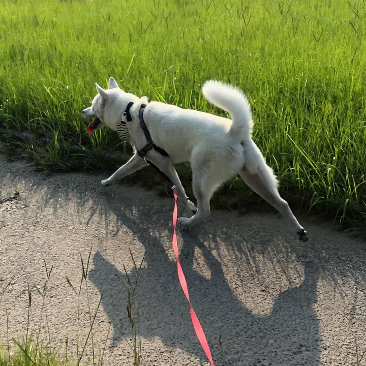 Eec1b4c6 be98 4be0 8ce4 8146aa20dd23 1531697703592