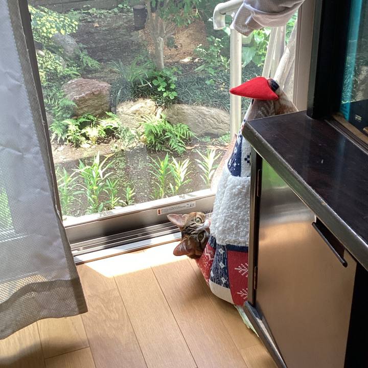 Eec1ca75 d82b 4c51 be98 a54698848059 1654050193167