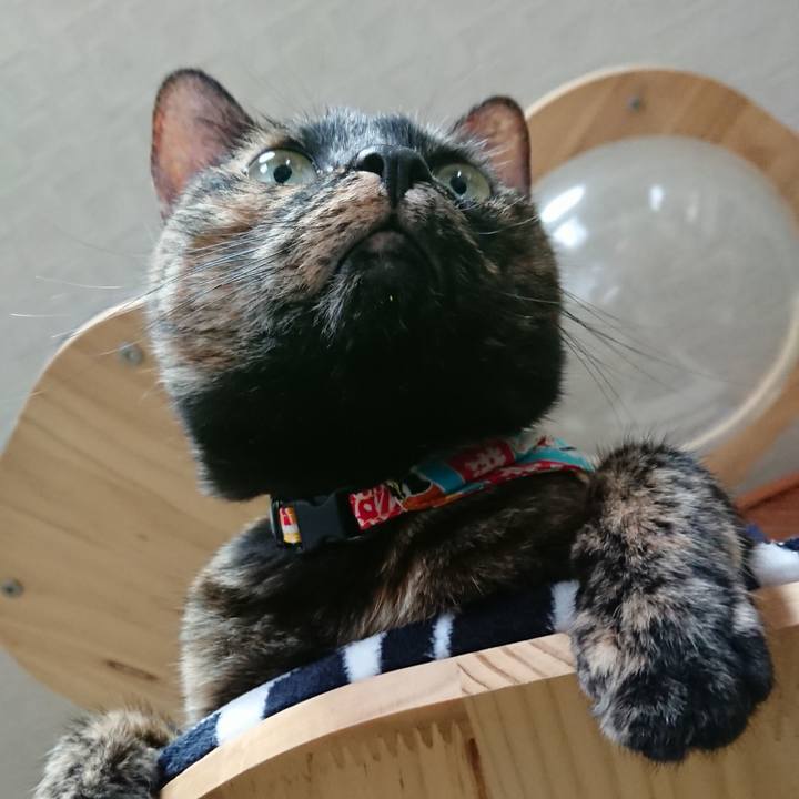 Eec1cd3d a240 4d13 8c4b dc64314c0dac 1558140260603