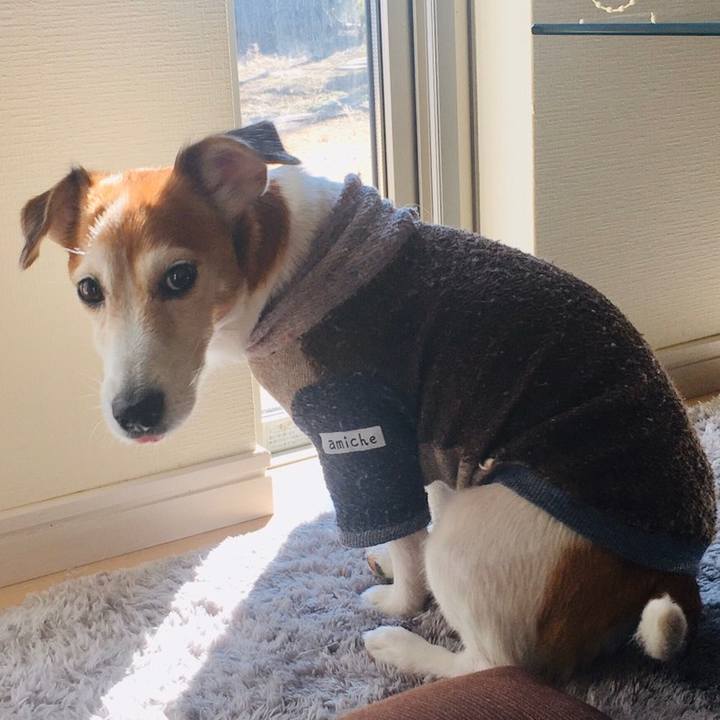 Eec1e7ff 67ae 4471 9d40 8a89807b7be1 1583043101736