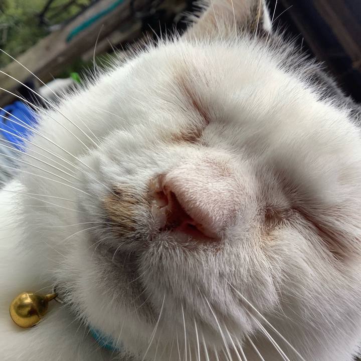 Eec20b0a 5d7d 4159 9d61 9faf83fbe690 1603441967200