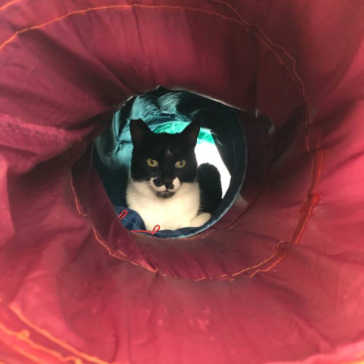 Eec2300b 976e 4c3a a3e4 963a885472be 1603309693397