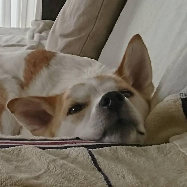 Eec23847 e829 49d6 a55b 47fa1723b5ef 1614998631477