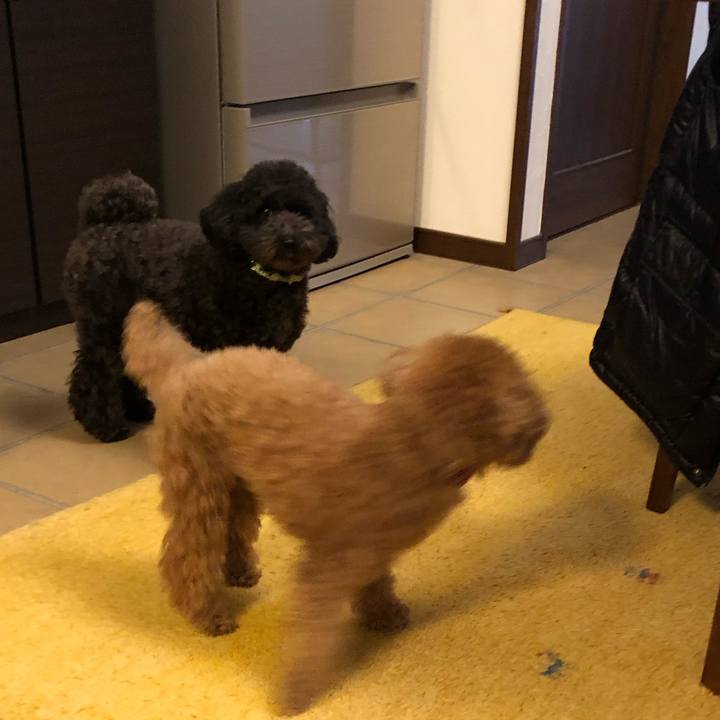 Eec2386b 2f7d 4078 b999 a77e66785c39 1580173869145