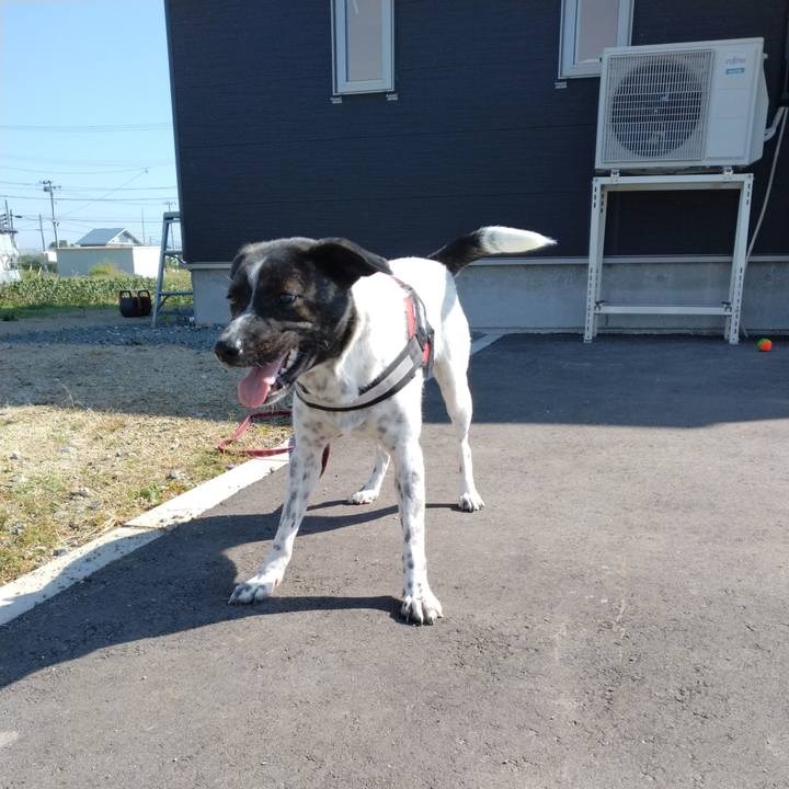 Eec23d21 b8a0 4e84 9d33 b7eff97ba1fd 1664672583901