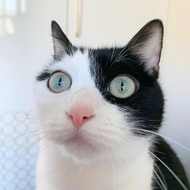 Eec24799 1c6d 4d12 b0ed 1de66bb38b08 1587250188599