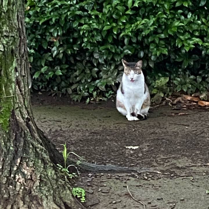 Eec25ec9 67a7 4e34 affa 641baaf8a672 1658590322268