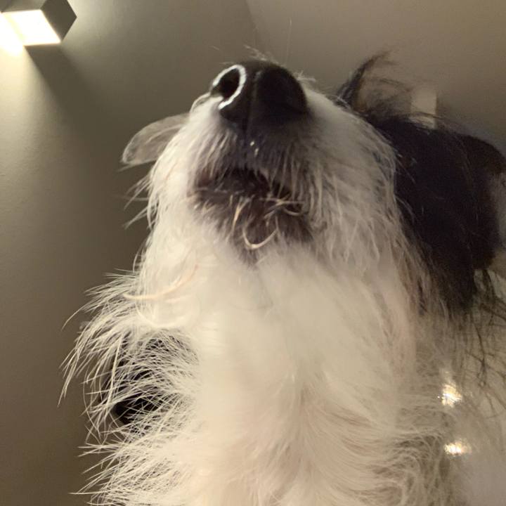 Eec27685 f7a8 469d 9e58 dc58acb67a84 1671788614559