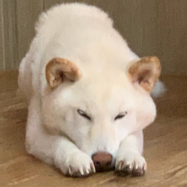 Eec2d99c 919f 43d6 af29 11d6ec0d08c1 1627797387304