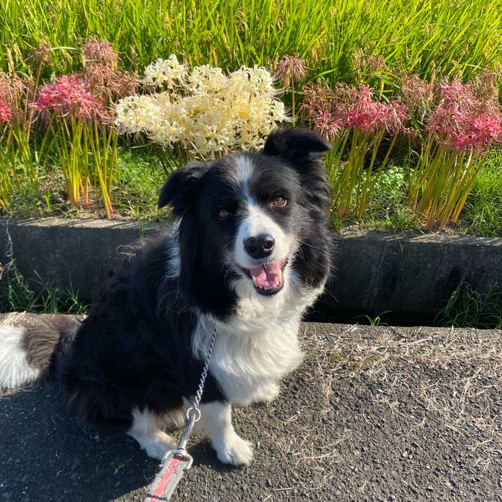 Eec2d9d5 a463 421c b862 c1b2be98e429 1632529658525