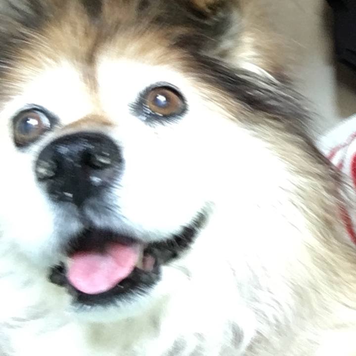 Eec30b5b d395 49b4 8a3e bd2006720645 1612047140015