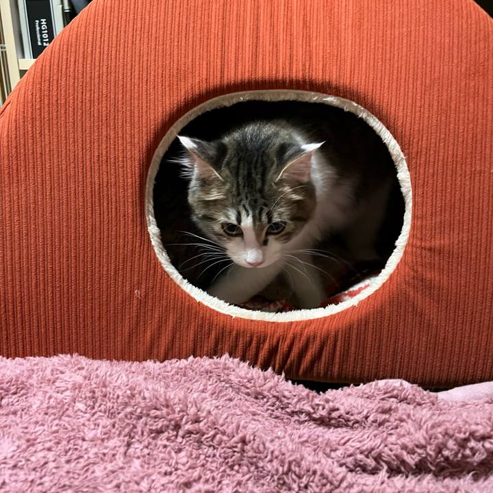 Eec30e8d 464a 4cef 96af 82e1cae572a2 1696245914123