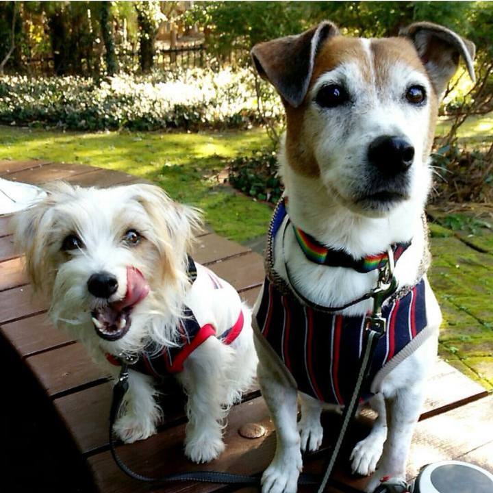 Eec30f18 ef0a 406f 810b cbf2d423e367 1703049080825