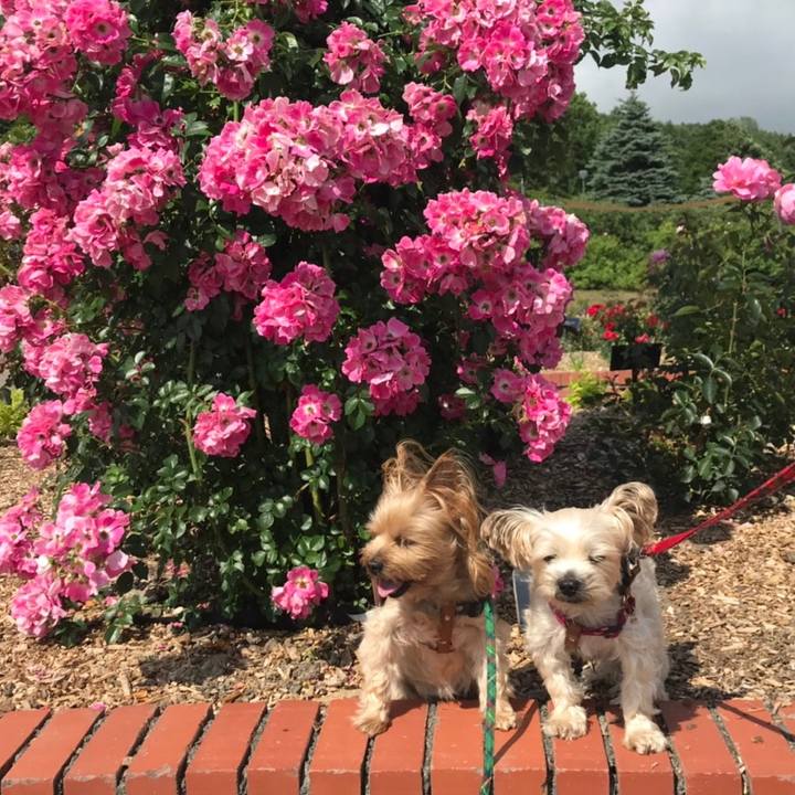 Eec33ca9 25db 4785 8049 351c05fb9b19 1563355708763