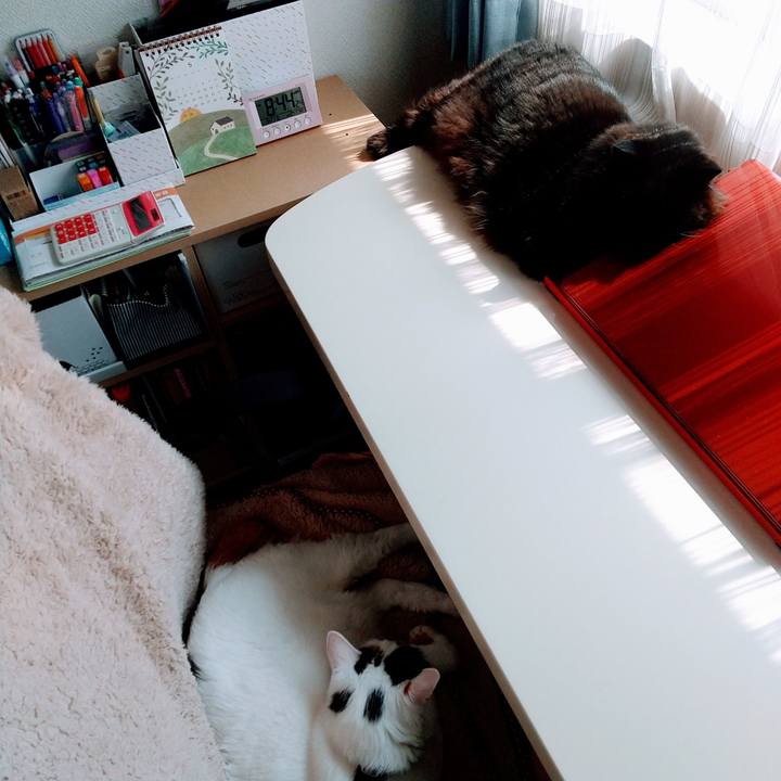 Eec36617 c321 4d4a b4a7 7336fe24b18b 1653090580136