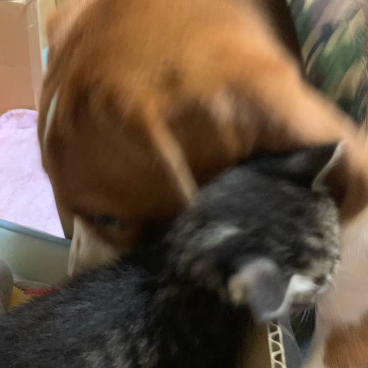 Eec370b5 ab56 42aa 86a5 6d28f427a85d 1564149753151