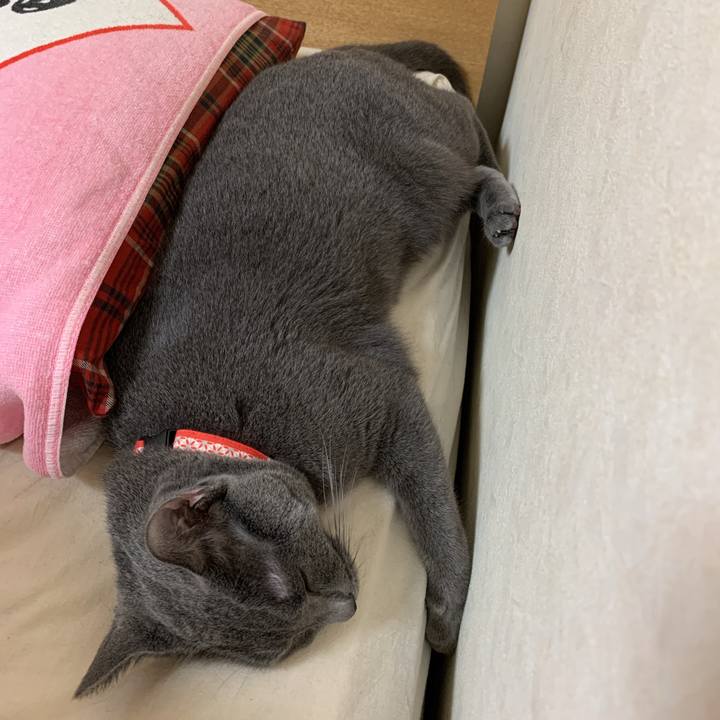 Eec376f5 637e 4f83 a6a4 16b6bdd8183d 1595501392400